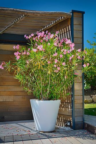 poterie GOICOECHEA décoration jardin